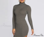 Turtleneck Long Sleeve Charming Ribbed Knit Mini Dress