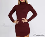 Turtleneck Long Sleeve Charming Ribbed Knit Mini Dress