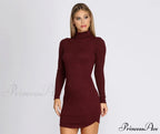Turtleneck Long Sleeve Charming Ribbed Knit Mini Dress