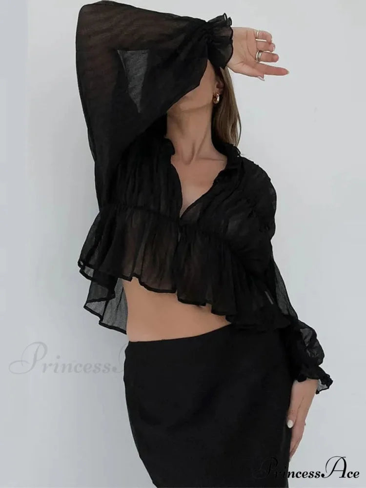 Vintage Transparent Mesh Lantern Sleeve Top