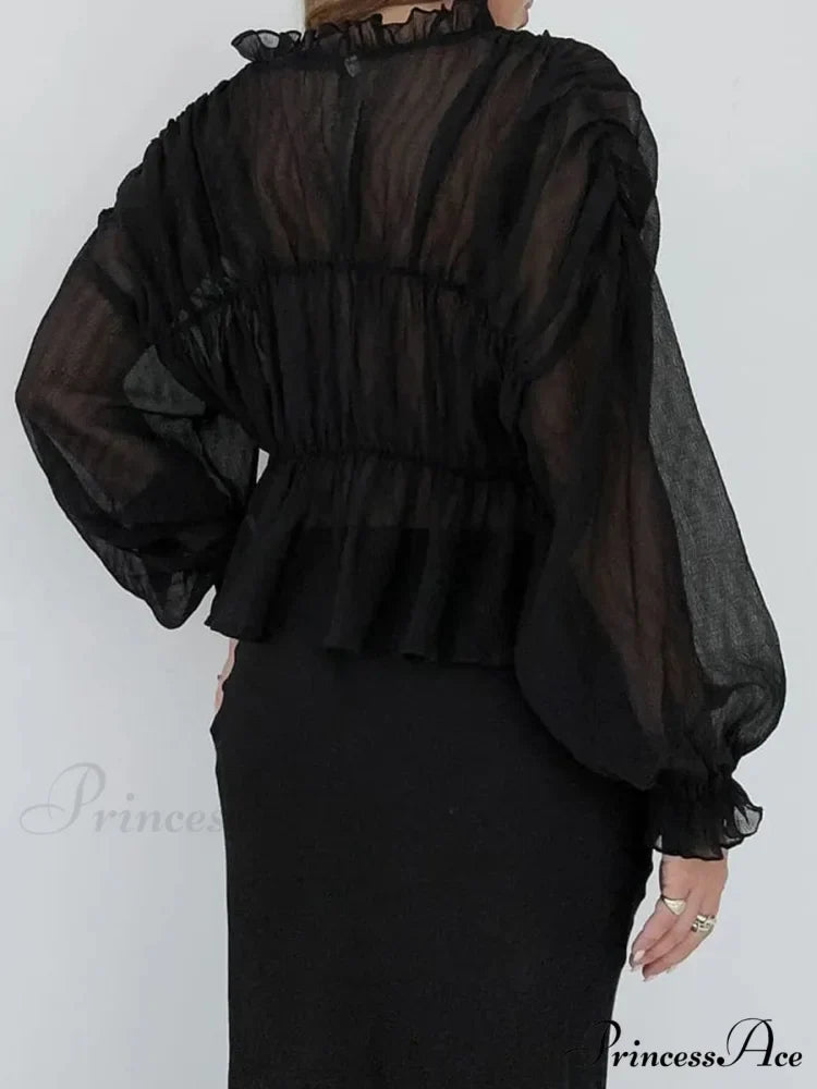 Vintage Transparent Mesh Lantern Sleeve Top