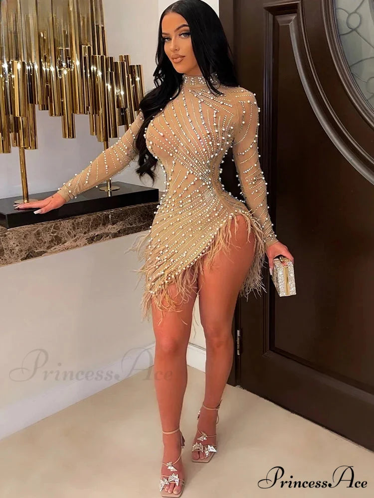 Znaiml Feather Mesh Party Dress